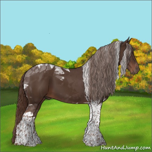 Horse Color:Liver Chestnut Tobiano 