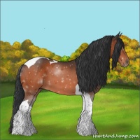 Horse Color:Brown Tobiano 