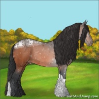 Horse Color:Bay Ice Tobiano Varnish 