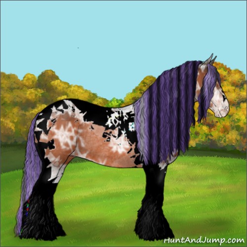 Horse Color:Painted Brown Ice Tobiano Appaloosa Rabicano 