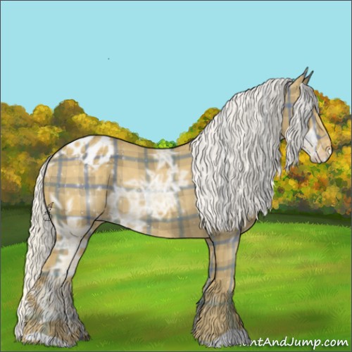 Horse Color:Plaid  Silver Smoky Black Ice Appaloosa 