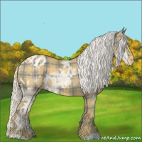 Horse Color:Plaid Silver Smoky Black Ice Varnish