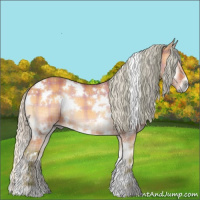 Horse Color:Watercolor Plaid  White Spotted Silver Bay Onyx 
