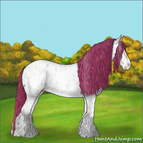 Horse Color:Bay Ice Pearl Onyx Near Leopard