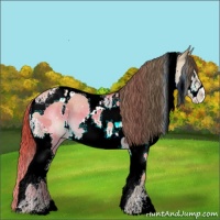 Horse Color:Classic Cream Champagne Dun Splash Tobiano