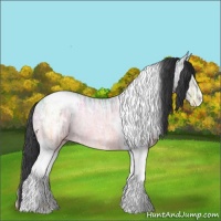Horse Color:Blue Onyx Ice Tobiano Varnish Rabicano 
