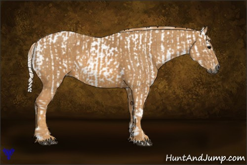 Horse Color:Gray White Spotted Black  Brindle