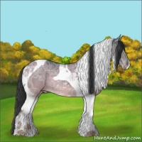 Horse Color:Black Ice Tobiano
