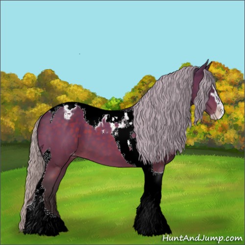 Horse Color:Silver Brown Sabino Tobiano Snowcap 