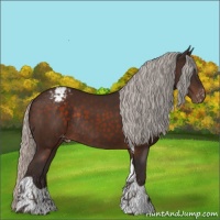 Horse Color:Silver Brown Tobiano Appaloosa Rabicano