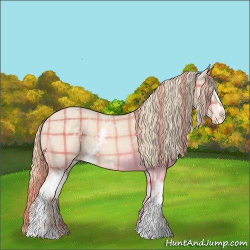 Horse Color:Plaid White Spotted Perlino Appaloosa