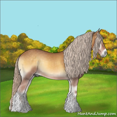 Horse Color:Palomino Onyx Sabino Tobiano 