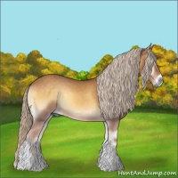 Horse Color:Palomino Onyx Sabino Tobiano