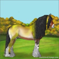 Horse Color:Bay Onyx Sabino Tobiano 