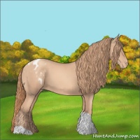 Horse Color:Gold Champagne Sabino Tobiano Blanket 