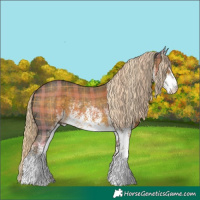 Horse Color:Plaid White Spotted Chocolate Palomino