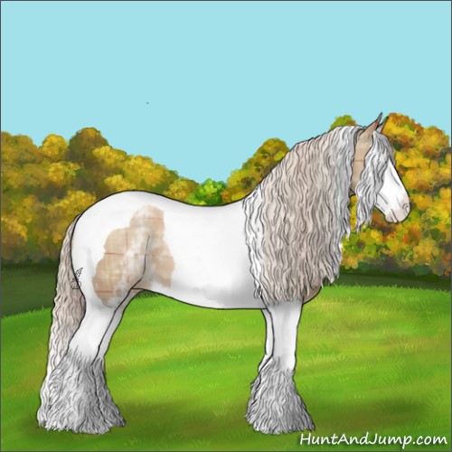 Horse Color:Plaid White Spotted Chocolate Palomino Pearl Splash Tobiano Appaloosa