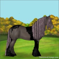 Horse Color:Void Painted Smoky Black Tobiano Appaloosa 