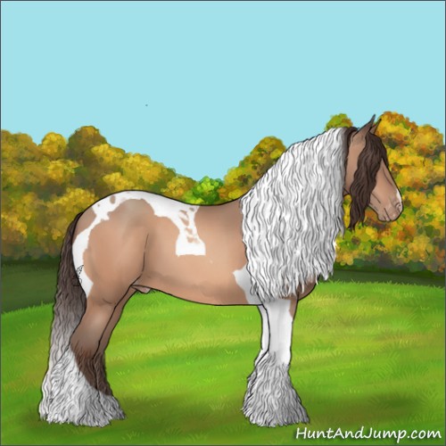 Horse Color:Amber Champagne Tobiano Appaloosa 
