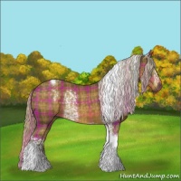Horse Color:Plaid  White Spotted Chocolate Palomino Tobiano 