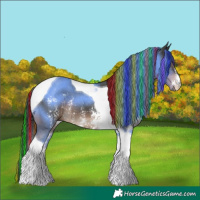 Horse Color:Painted Liver Chestnut Sabino Tobiano 