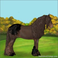 Horse Color:Void Liver Chestnut Sabino Tobiano Appaloosa 