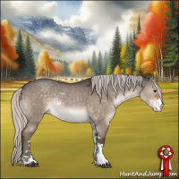 Horse Color:Silver Brown Dun Sabino Rabicano 