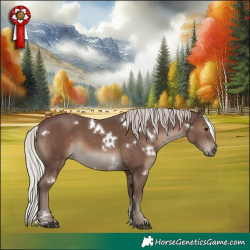 Horse Color:White Spotted Silver Black Sabino Rabicano