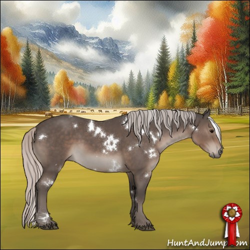 Horse Color:White Spotted Silver Black Sabino Rabicano 