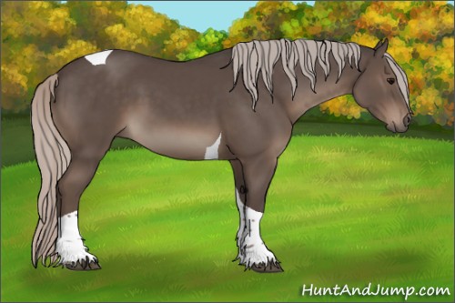 Horse Color:Silver Black Sabino Tobiano 