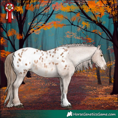 Horse Color:Brown Pearl Sabino Appaloosa 