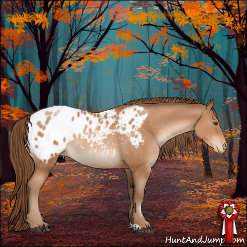 Horse Color:Brown Pearl Sabino Appaloosa 