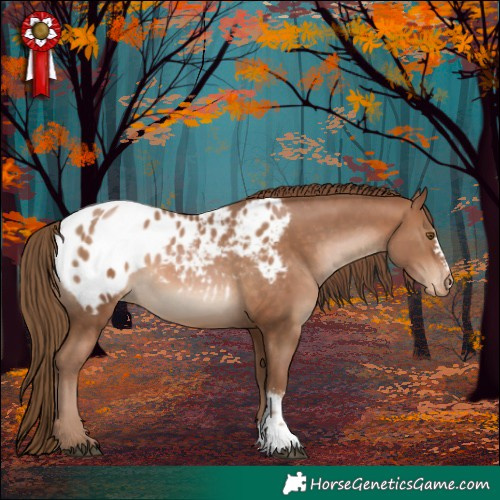 Horse Color:Brown Pearl Sabino Blanket