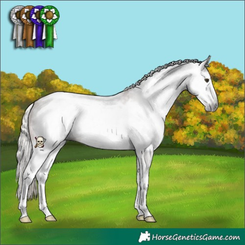Horse Color:Gray White Spotted Silver Bay Frame