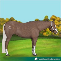Horse Color:Silver Black 