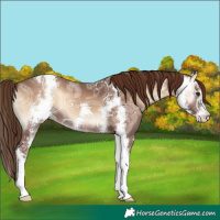 Horse Color:Red Onyx Ice Sabino
