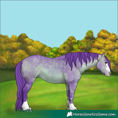 Horse Color:Watercolor Bay 