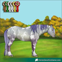 Horse Color:Watercolor White Spotted Brown Pearl Dun Rabicano