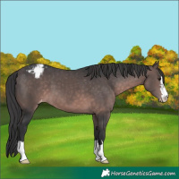 Horse Color:Platinum Brown Snowcap 