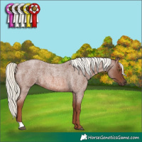 Horse Color:Red Roan Mushroom 