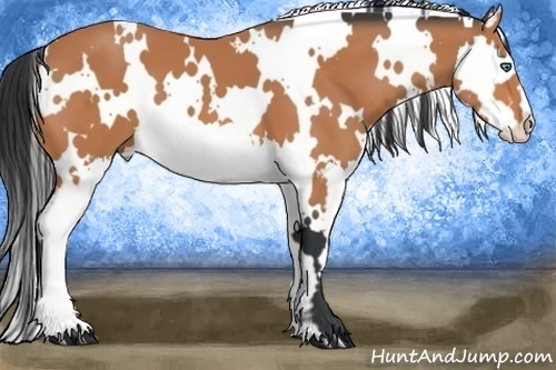Horse Color:White Spotted Bay Splash Frame