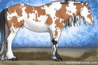 Horse Color:White Spotted Bay Splash Frame