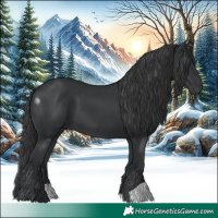 Horse Color:Black 