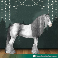 Horse Color:White Spotted Black
