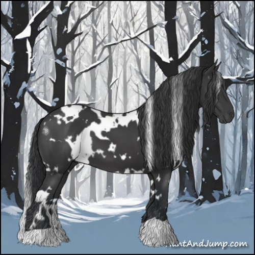 Horse Color:White Spotted Black 