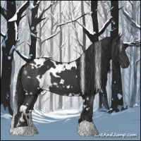 Horse Color:White Spotted Black 