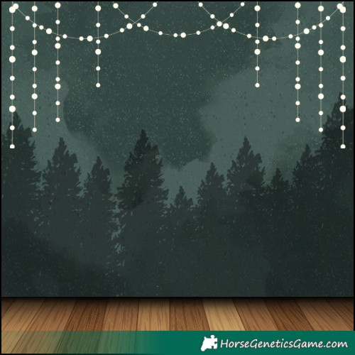 Horse Color:White Spotted Black 