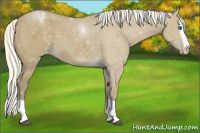 Horse Color:Silver Smoky Grullo Splash Appaloosa 
