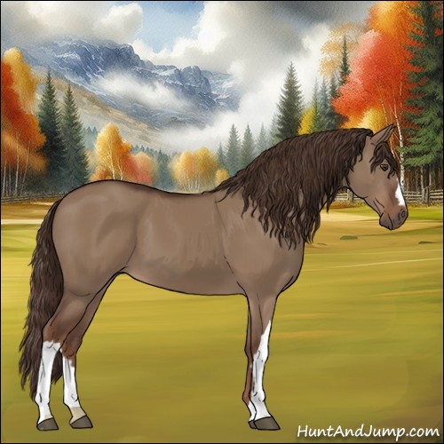 Horse Color:Liver Red Dun 