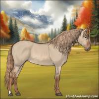Horse Color:Red Dun 